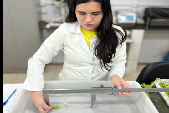 A pesquisa foi publicada no periódico Revista Brasileira de Ciências da Amazônia