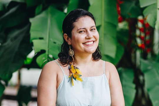 O projeto aprovado compreende uma etapa importante para compreensão da questão central  do projeto financiado pelo Instituto Serrapilhera, que busca responder quais os mecanismos ecofisiológicos ocasionam a mortalidade de árvores florestais tropicais.