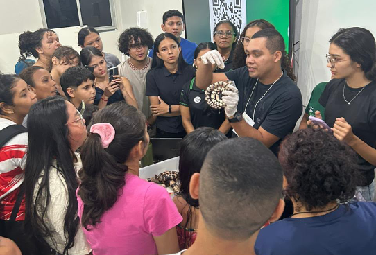/media/file/site/oriximina/imagens/2026/48508302-977c-4e5e-86d3-c7576df8163d.png